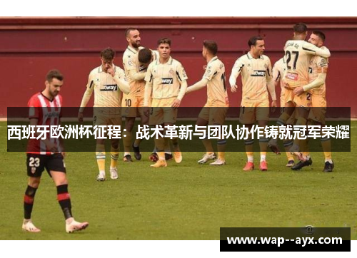 西班牙欧洲杯征程：战术革新与团队协作铸就冠军荣耀