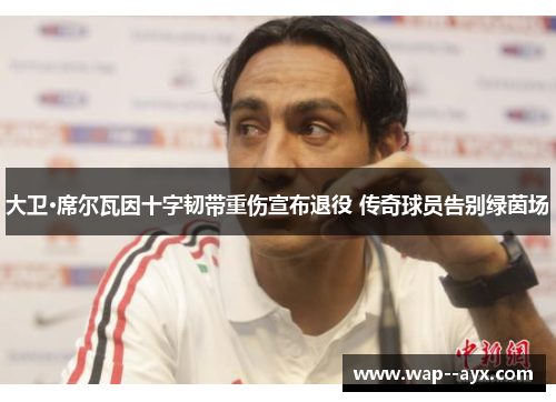 大卫·席尔瓦因十字韧带重伤宣布退役 传奇球员告别绿茵场 大卫·席尔瓦因十字韧带重伤宣布退役 传奇球员告别绿茵场