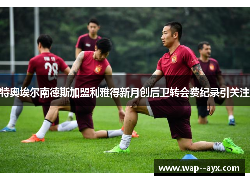 特奥埃尔南德斯加盟利雅得新月创后卫转会费纪录引关注