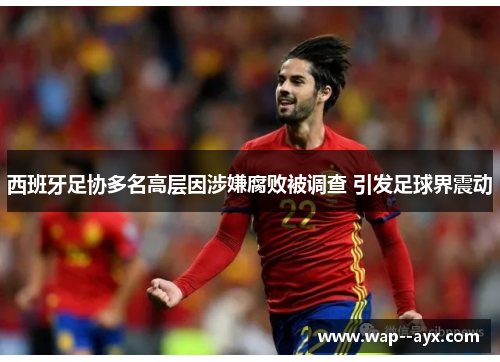 西班牙足协多名高层因涉嫌腐败被调查 引发足球界震动